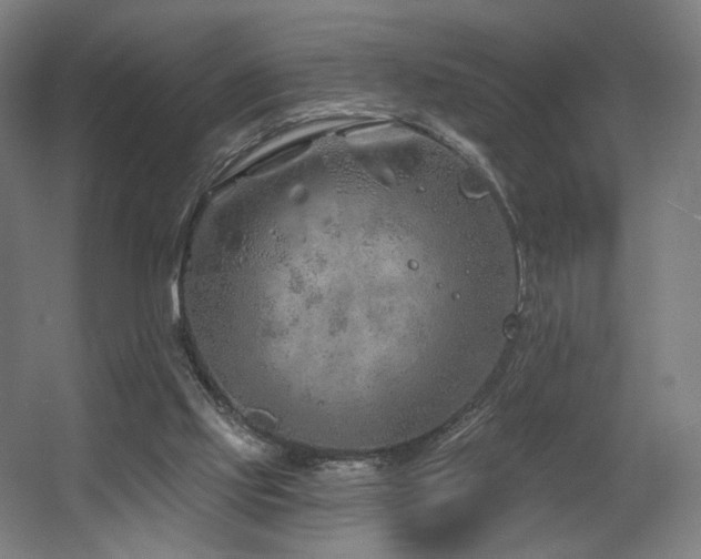 X0000060580061200511031347