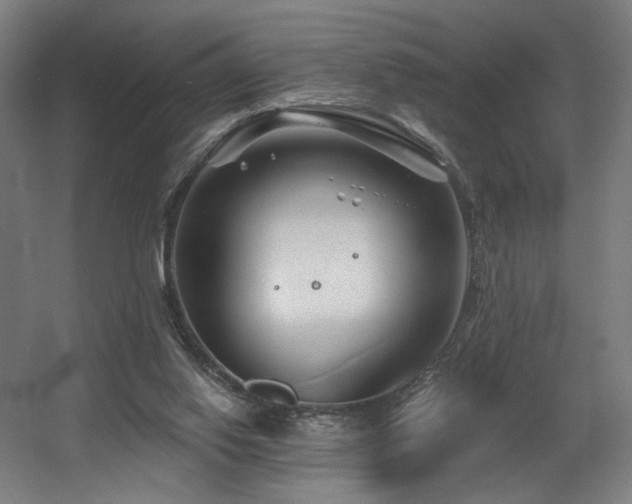 X0000060580062200511031347