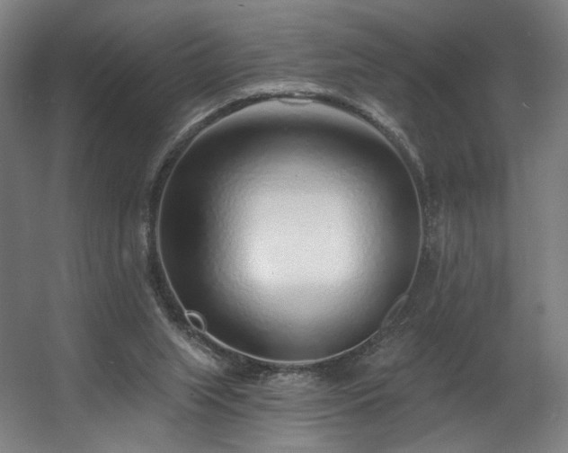 X0000060580063200511031347