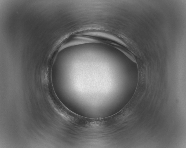 X0000060580064200511031347