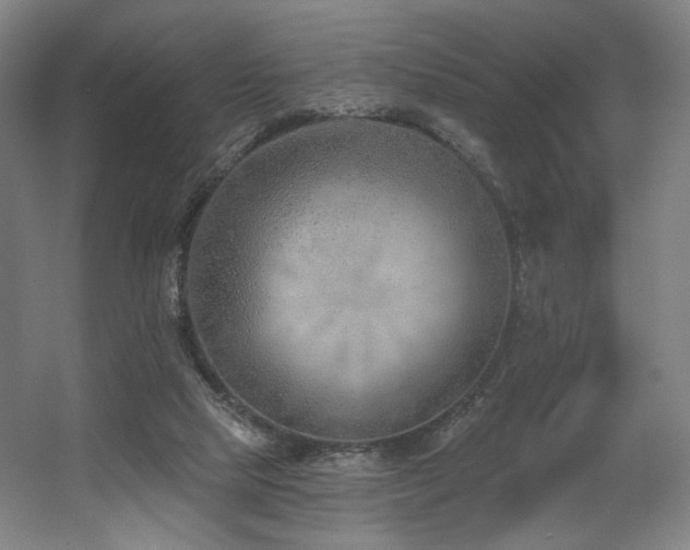 X0000060580065200511031347