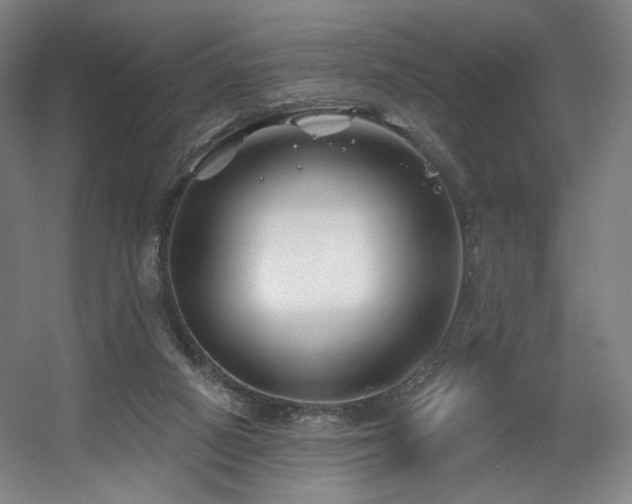 X0000060580066200511031347