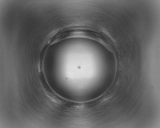 X0000060580068200511031347