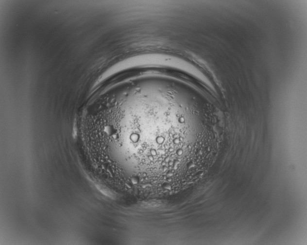 X0000060580069200511031347