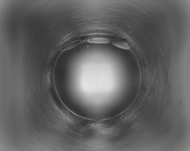 X0000060580071200511031347