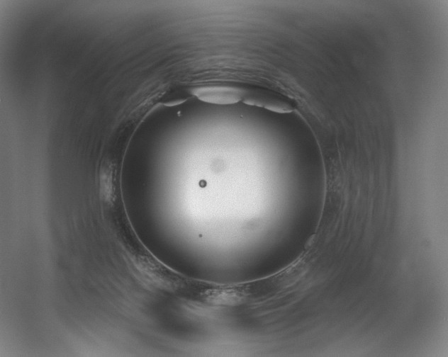 X0000060580074200511031347