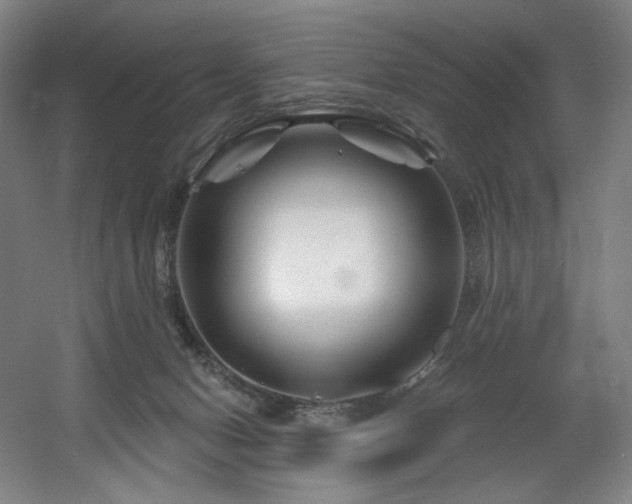 X0000060580078200511031347