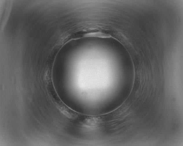 X0000060580079200511031347