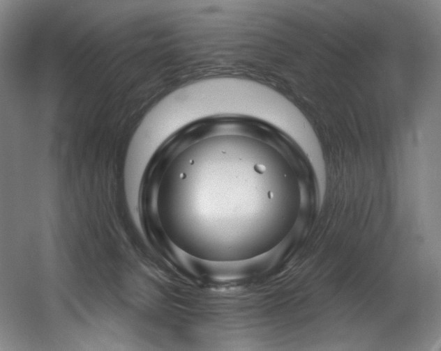 X0000060580080200511031347