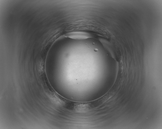 X0000060580081200511031347