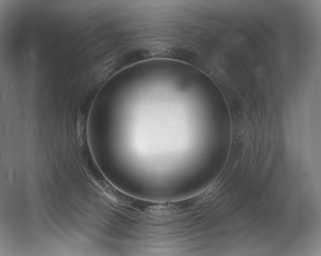 X0000060580082200511031347