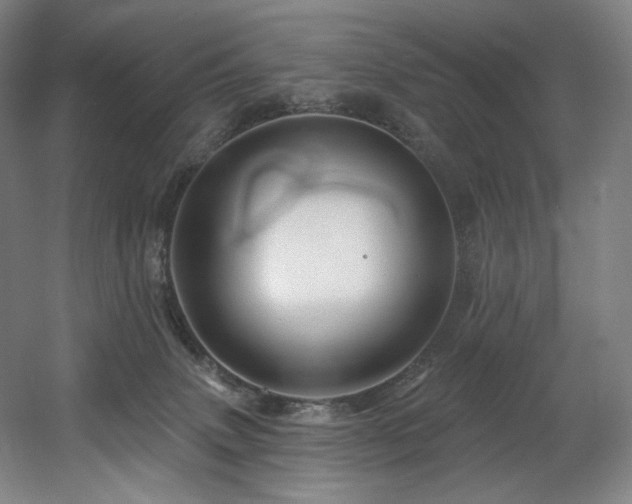 X0000060580083200511031347