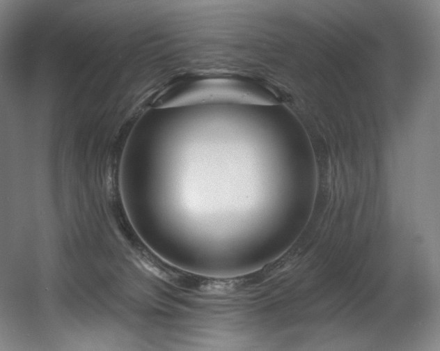 X0000060580084200511031347