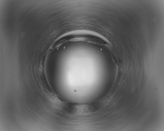 X0000060580085200511031347