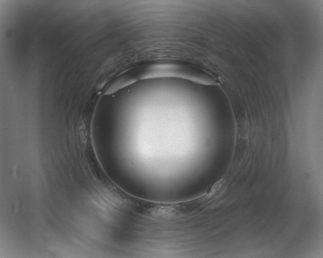 X0000060580086200511031347