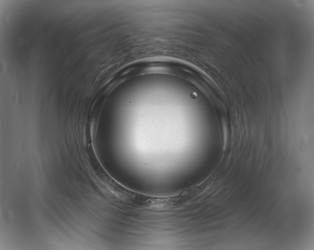 X0000060580088200511031347