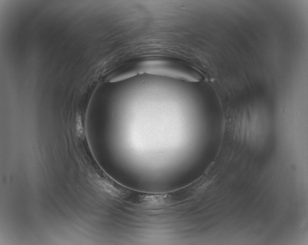 X0000060580089200511031347