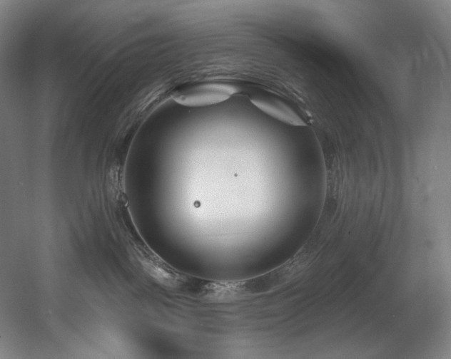 X0000060580093200511031347