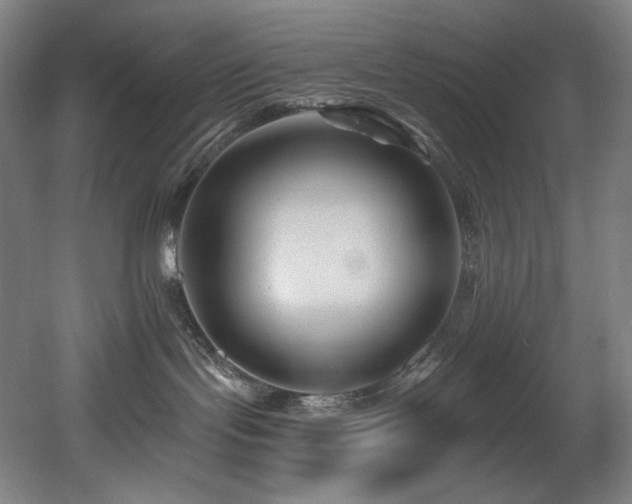 X0000060580095200511031347