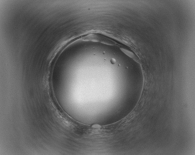 X0000060580098200511031346