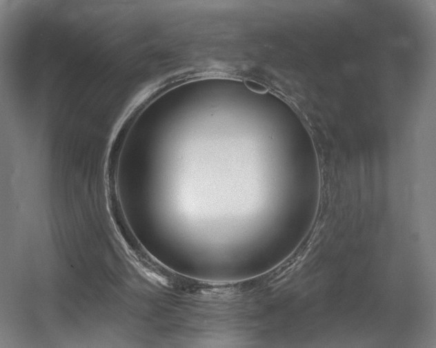 X0000060580102200511031346