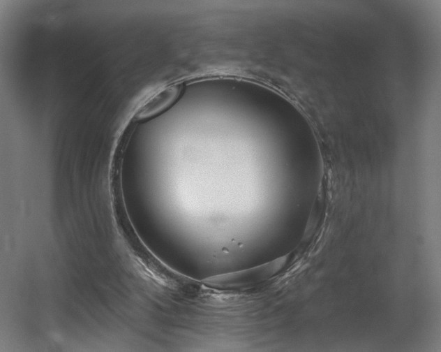 X0000060580104200511031346