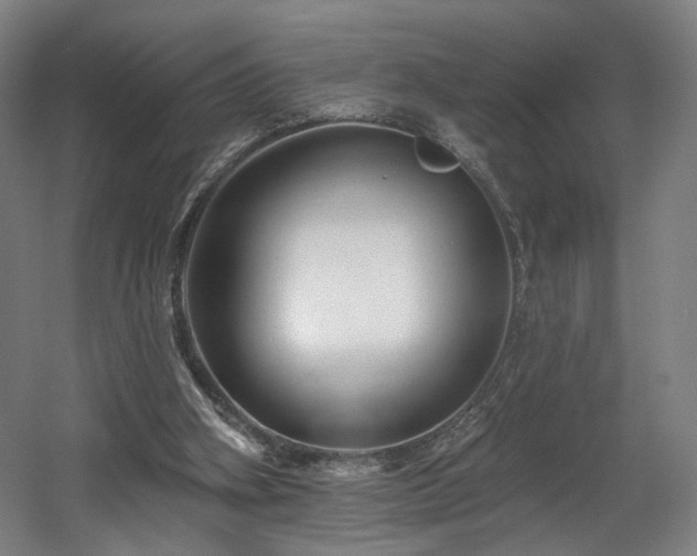 X0000060580106200511031346