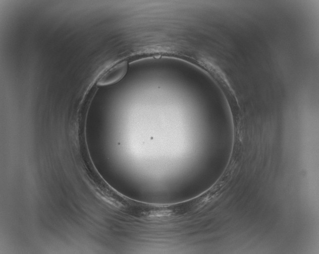 X0000060580108200511031346