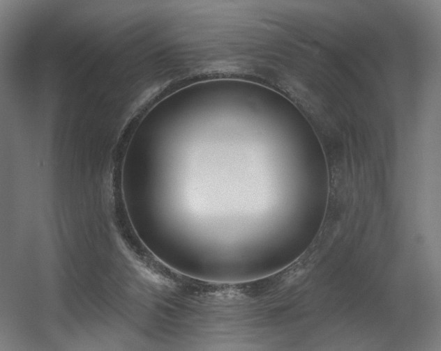 X0000060580112200511031346