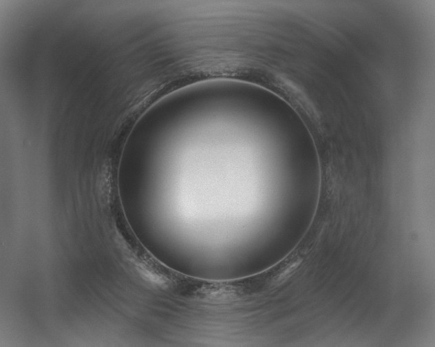 X0000060580113200511031346