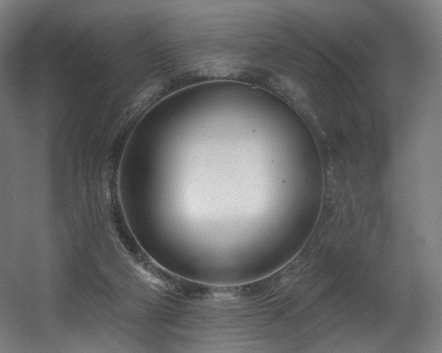 X0000060580114200511031346