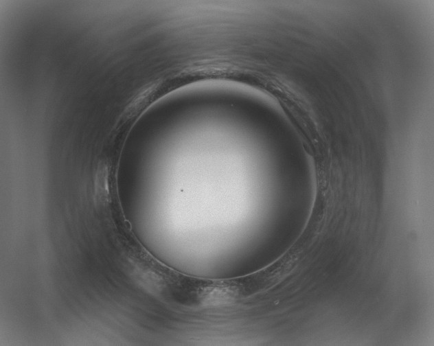 X0000060580115200511031346