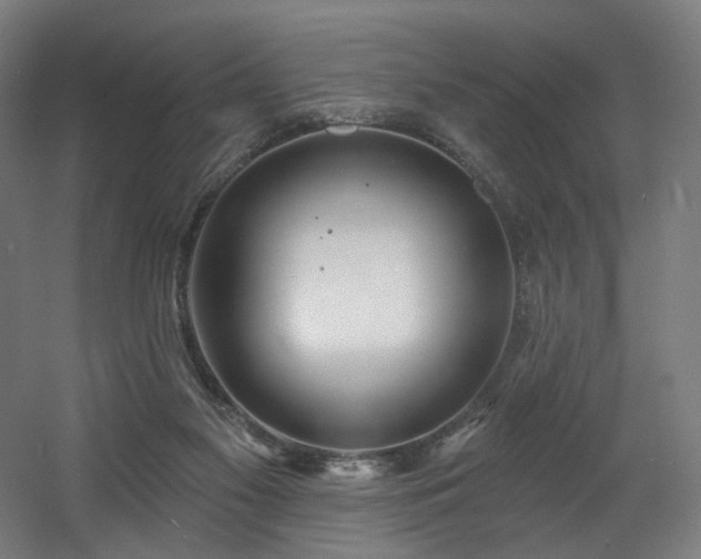 X0000060580117200511031346