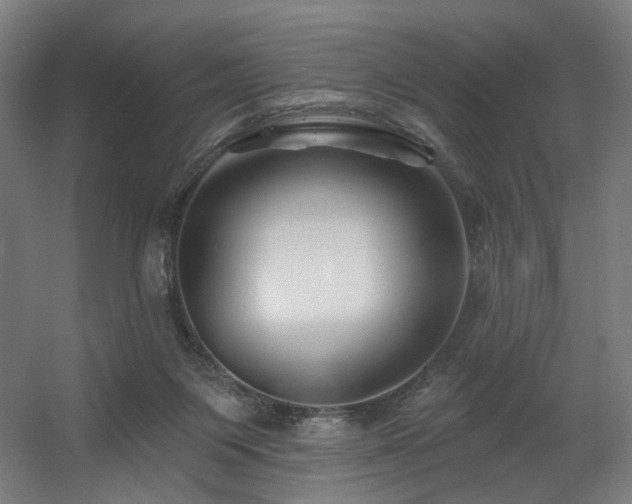 X0000060580119200511031346