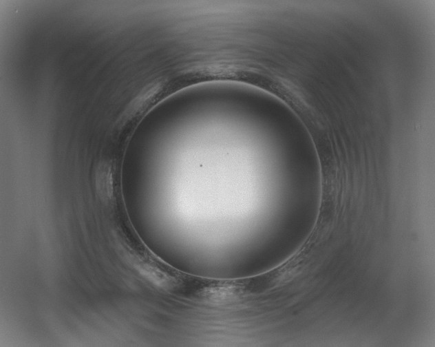 X0000060580120200511031346