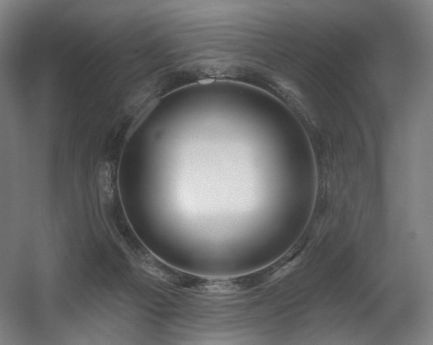 X0000060580121200511031346