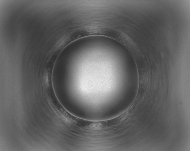 X0000060580124200511031346