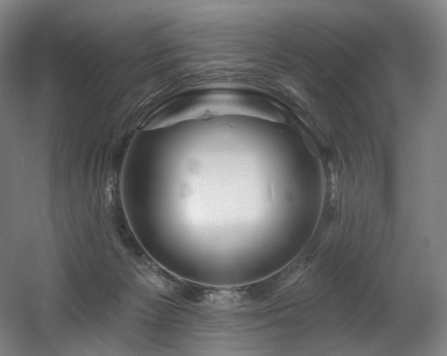 X0000060580125200511031346