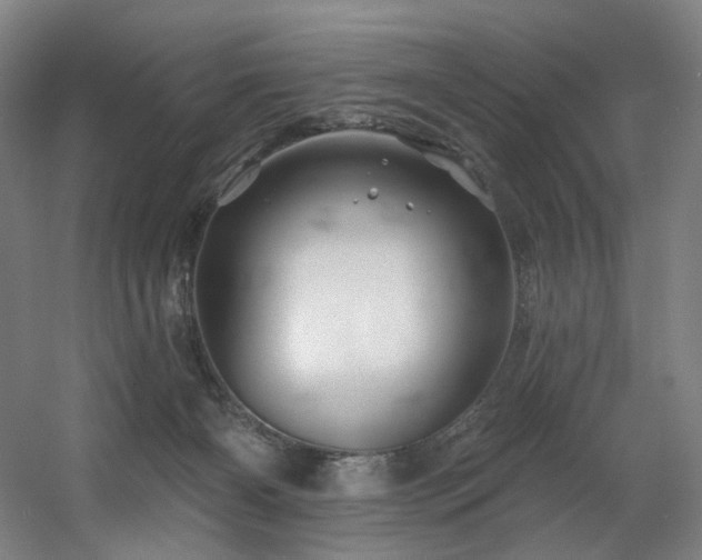 X0000060580126200511031346