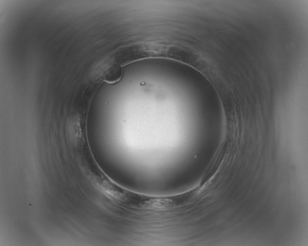 X0000060580128200511031346