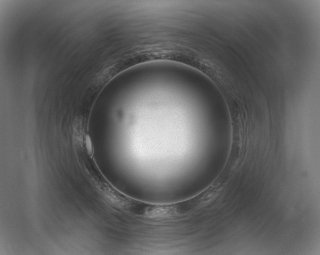 X0000060580129200511031346