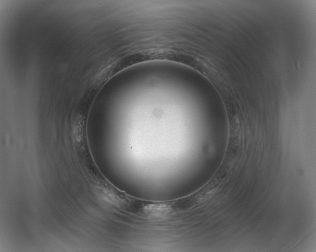 X0000060580133200511031346