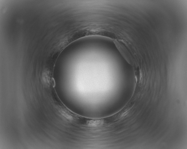 X0000060580135200511031346