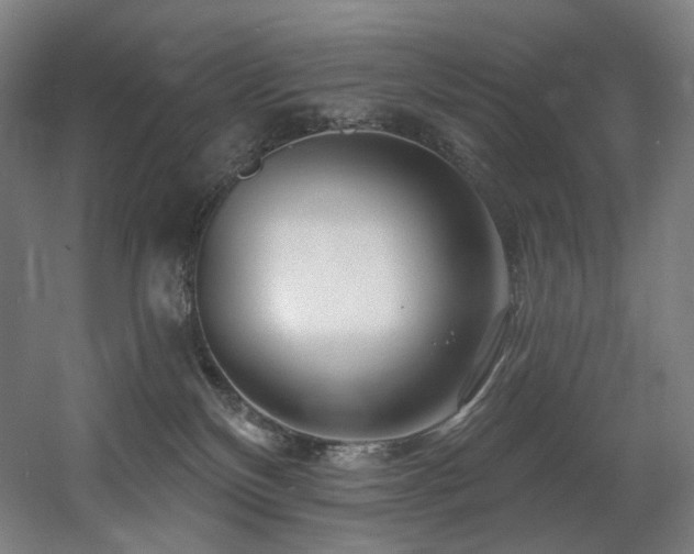 X0000060580136200511031346