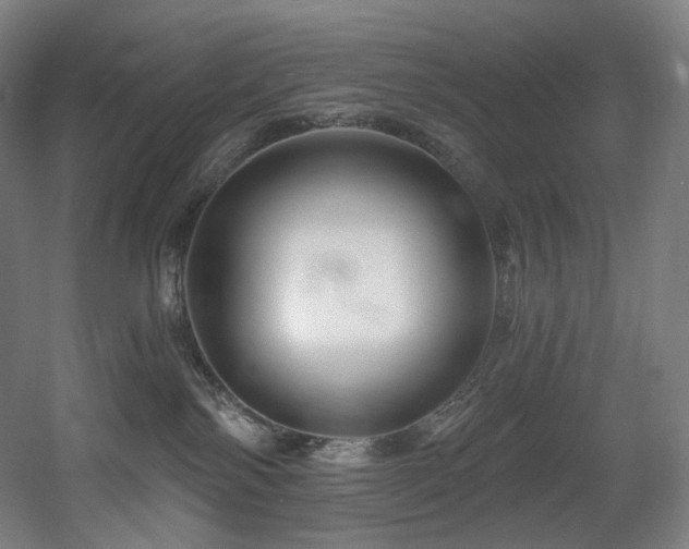 X0000060580138200511031346