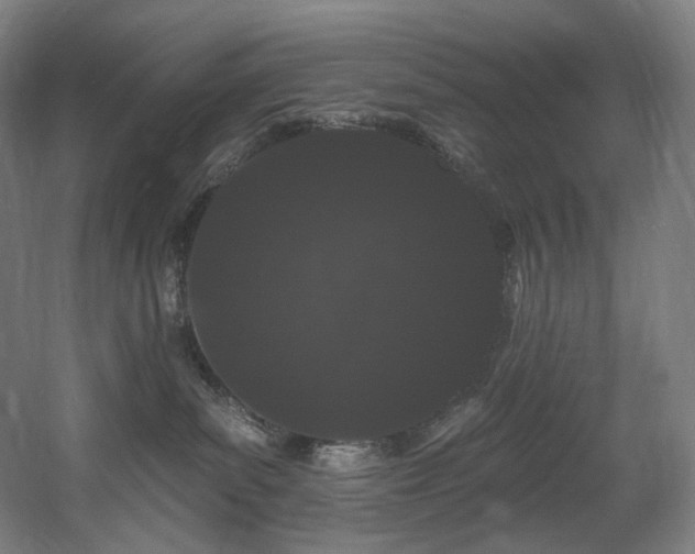 X0000060580139200511031346