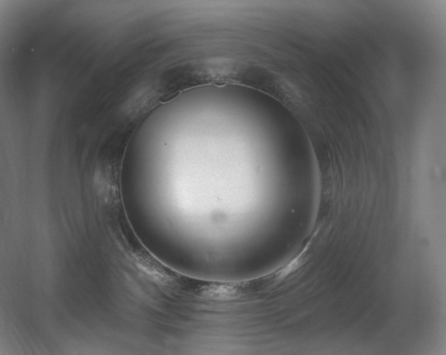 X0000060580140200511031346