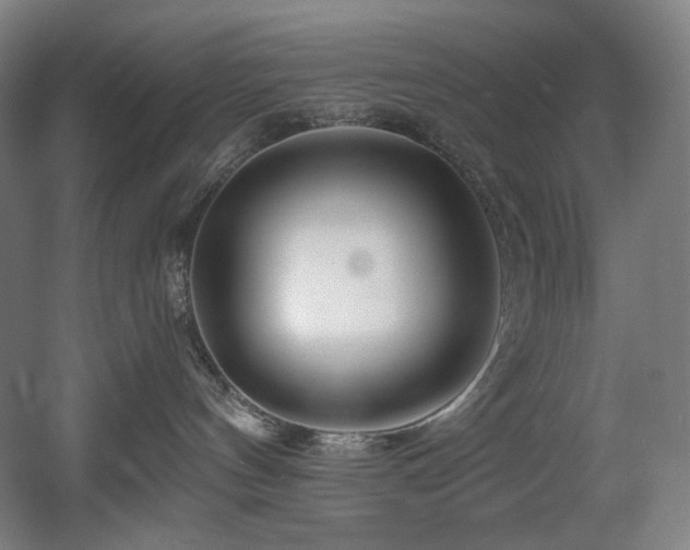 X0000060580144200511031346