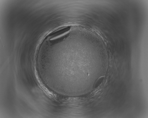 X0000060580145200511031345