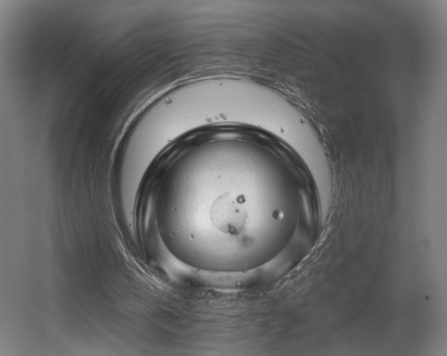 X0000060580146200511031345